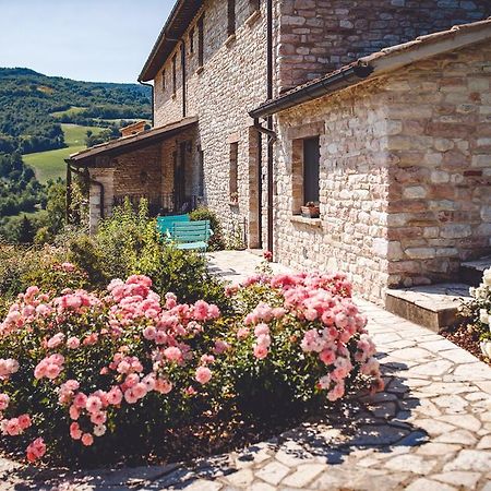 Agriturismo Casal San Sergio Fossombrone Eksteriør billede