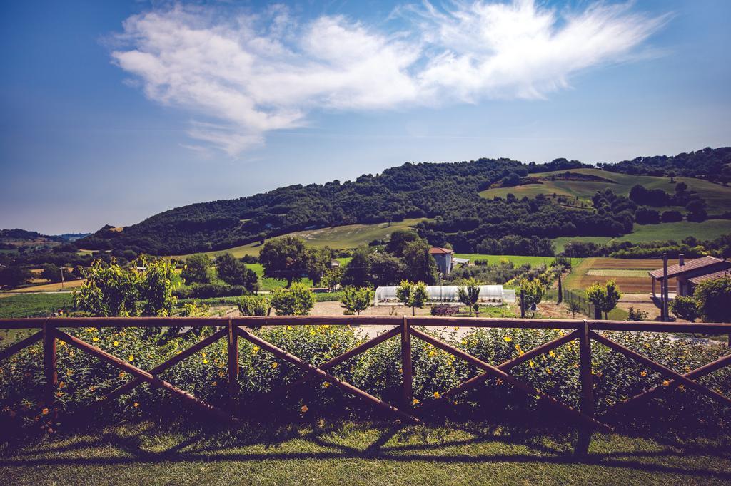 Agriturismo Casal San Sergio Fossombrone Eksteriør billede