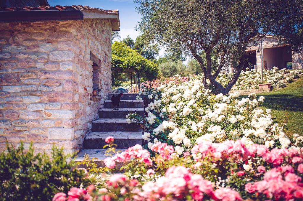 Agriturismo Casal San Sergio Fossombrone Eksteriør billede