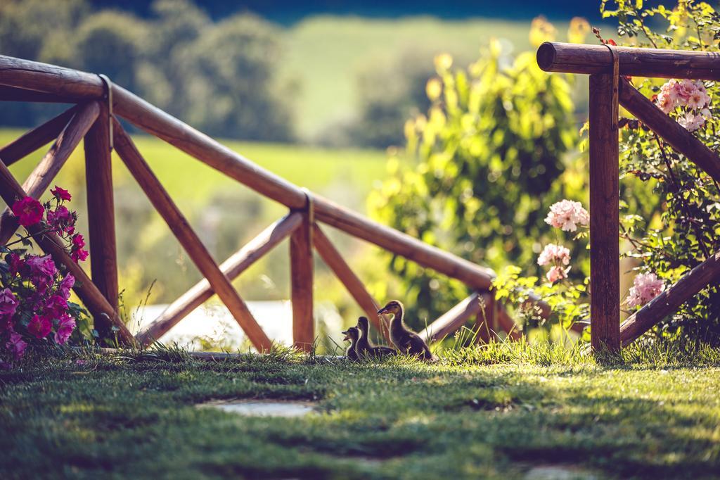 Agriturismo Casal San Sergio Fossombrone Eksteriør billede